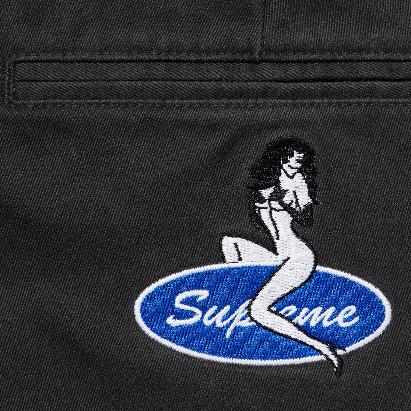 Pin Up Chino Pant view 6
